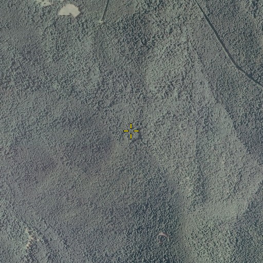 Aerial/Satellite Image of Crusher Ridge Trail, VA
