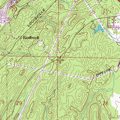Topographic Map of Roebuck Mine, AL