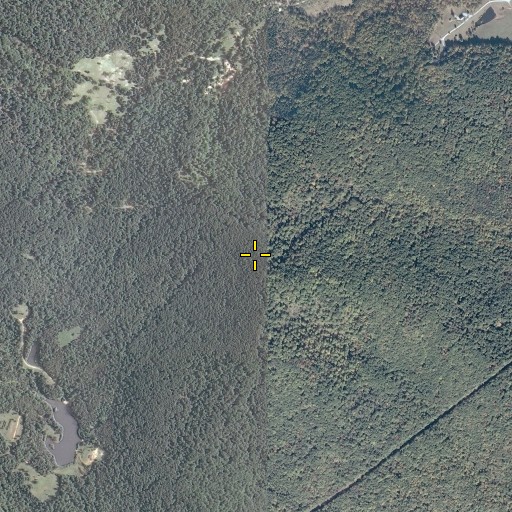 Aerial/Satellite Image of Currant Mountain, VA