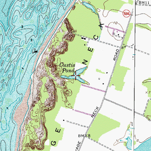 Topographic Map of Custis Pond, VA