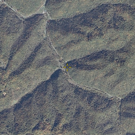 Aerial/Satellite Image of Dan Branch, VA