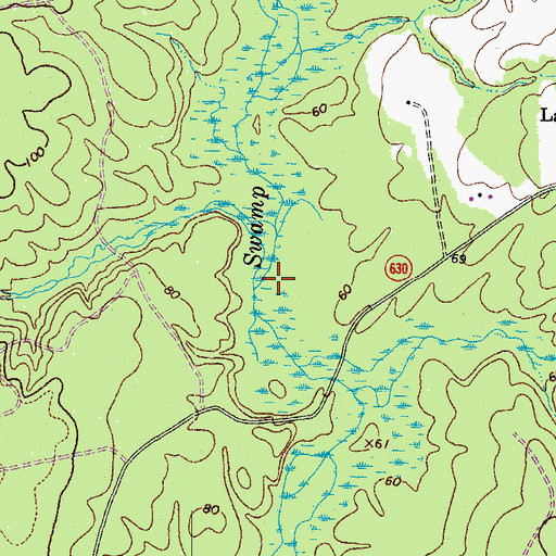 Topographic Map of Dark Swamp, VA