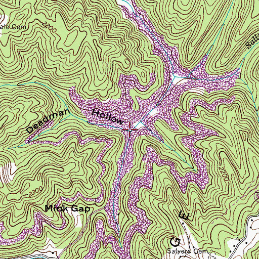 Topographic Map of Deadman Hollow, VA