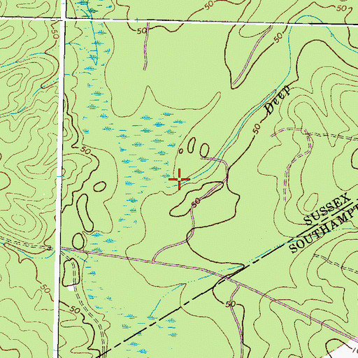 Topographic Map of Deep Branch, VA