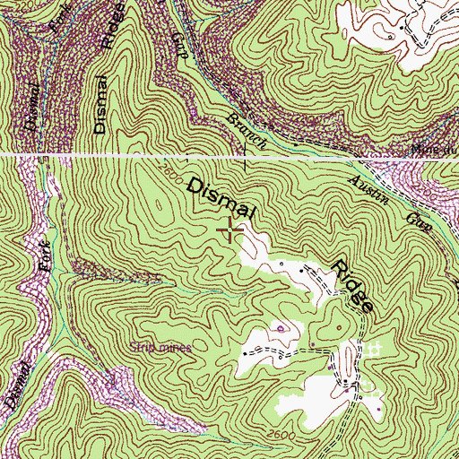 Topographic Map of Dismal Ridge, VA