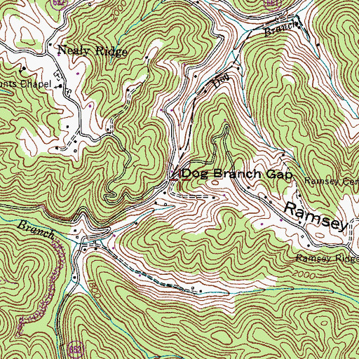 Topographic Map of Dog Branch Gap, VA