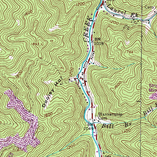Topographic Map of Dooley Hollow, VA