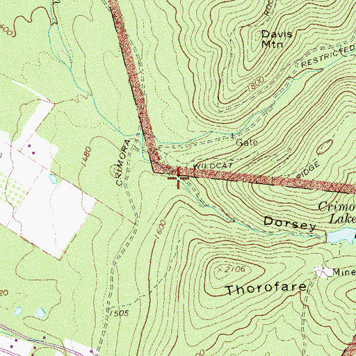 Topographic Map of Dorsey Hanger Hollow, VA