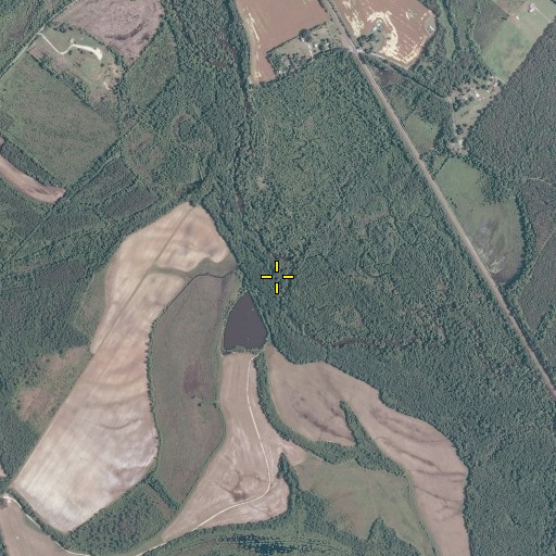 Aerial/Satellite Image of Downers Branch, VA