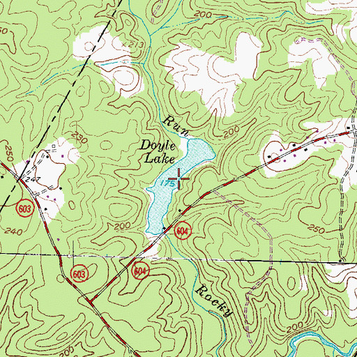 Topographic Map of Doyle Lake, VA