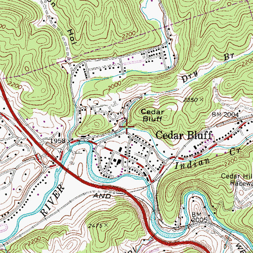 Topographic Map of Dry Branch, VA