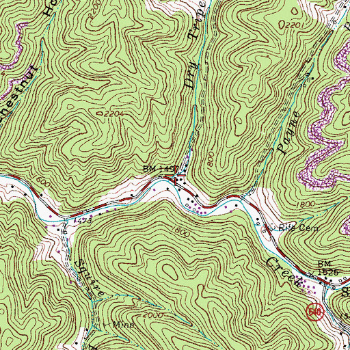Topographic Map of Dry Tripe Branch, VA