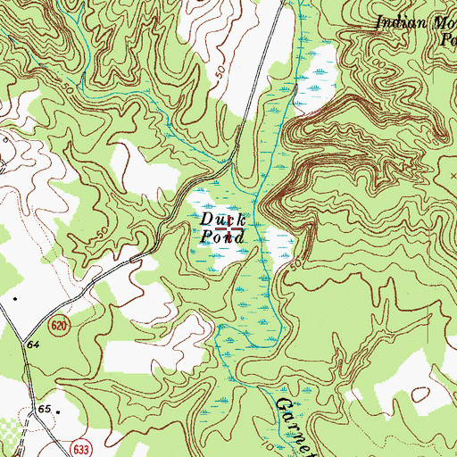 Topographic Map of Duck Pond, VA