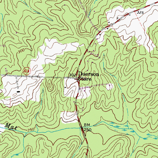 Topographic Map of Duerson Store, VA