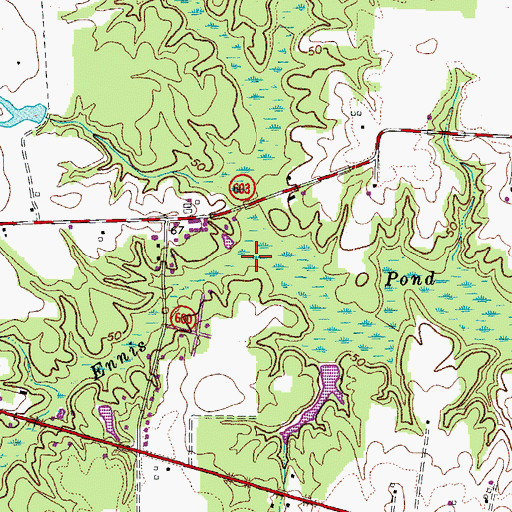 Topographic Map of Ennis Pond, VA