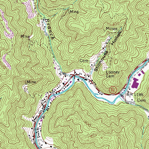 Topographic Map of Enochs Branch, VA