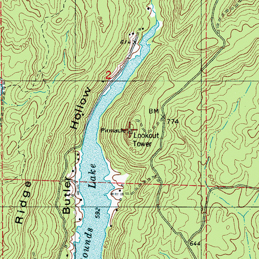 Topographic Map of Pinnacle Lookout Tower, AL
