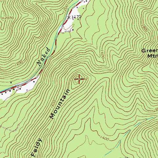 Topographic Map of Feldy Mountain, VA