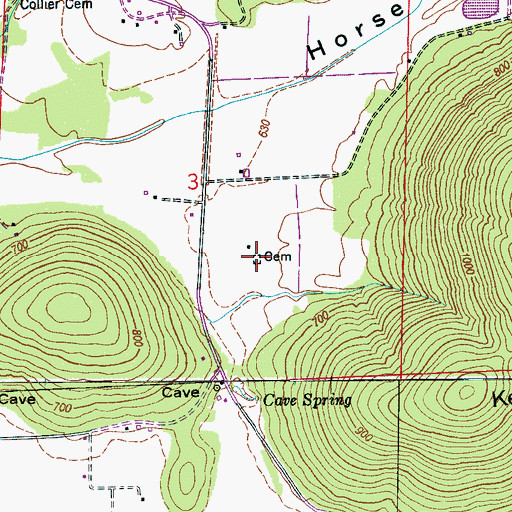 Topographic Map of Allison Cemetery, AL