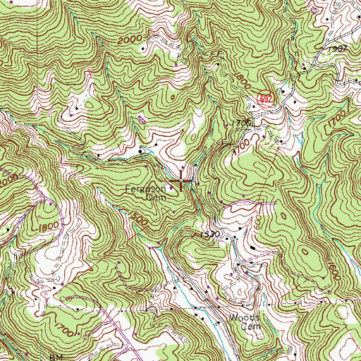 Topographic Map of Ferguson Cemetery, VA