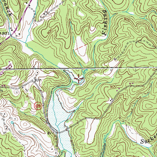 Topographic Map of Fishing Fork, VA