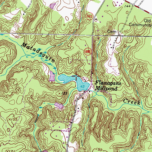 Topographic Map of Flanagans Millpond, VA