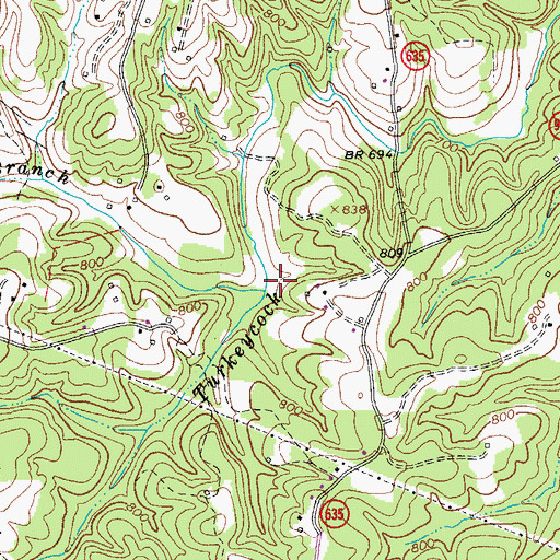 Topographic Map of Flanigan Branch, VA