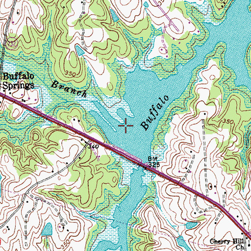 Topographic Map of Flat Rock Branch, VA