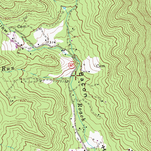 Topographic Map of Flatgut Run, VA
