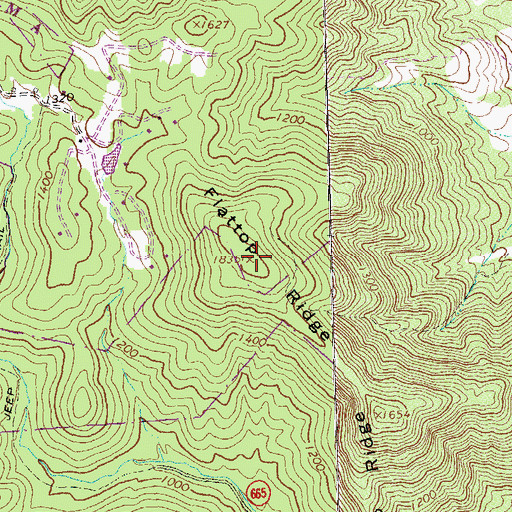 Topographic Map of Flattop Ridge, VA