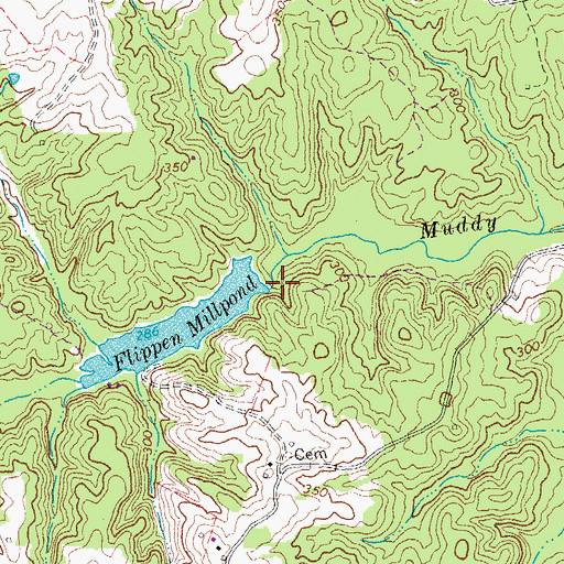 Topographic Map of Flippen Millpond, VA