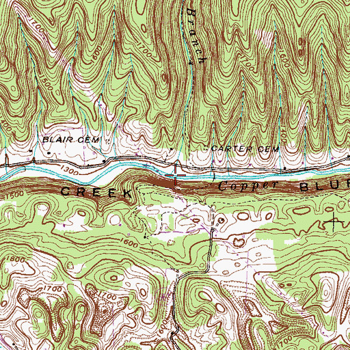Topographic Map of Flower Branch, VA