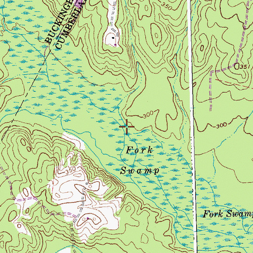 Topographic Map of Fork Swamp, VA
