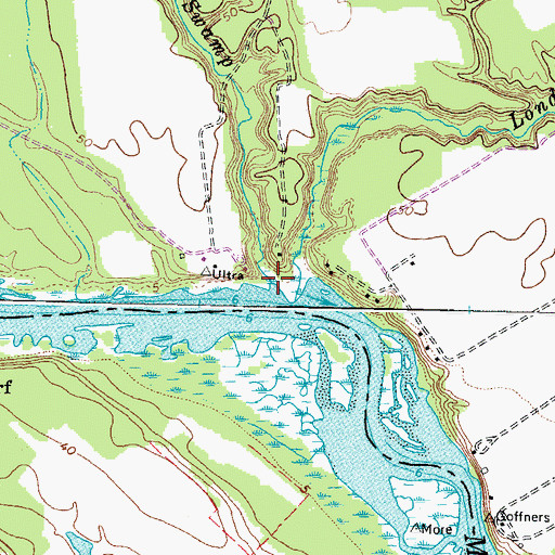 Topographic Map of Georges Swamp, VA
