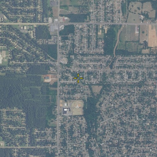 Aerial/Satellite Image of Blue Spring, AL