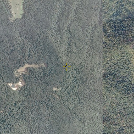 Aerial/Satellite Image of Gibson Mountain, VA