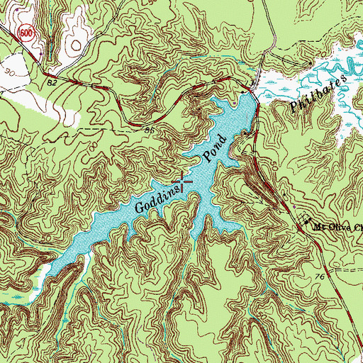 Topographic Map of Goddins Pond, VA