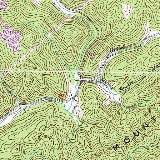 Topographic Map of Grassy Branch, VA
