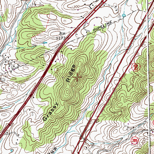 Topographic Map of Grassy Ridge, VA