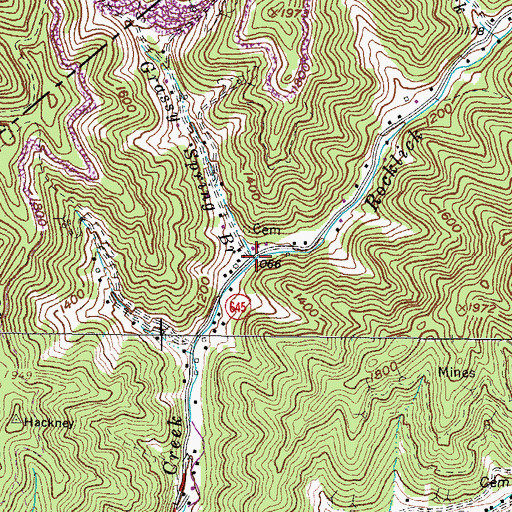 Topographic Map of Grassy Spring Branch, VA