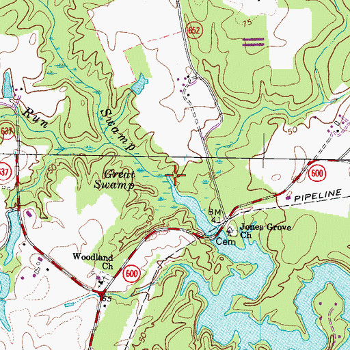 Topographic Map of Great Swamp, VA