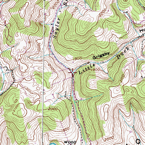 Topographic Map of Grisby Hollow, VA