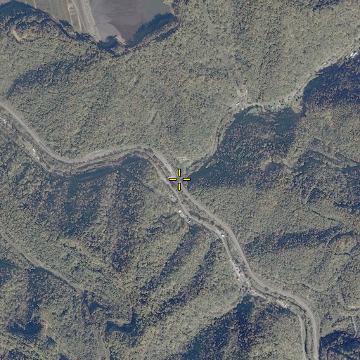 Aerial/Satellite Image of Guess Fork, VA