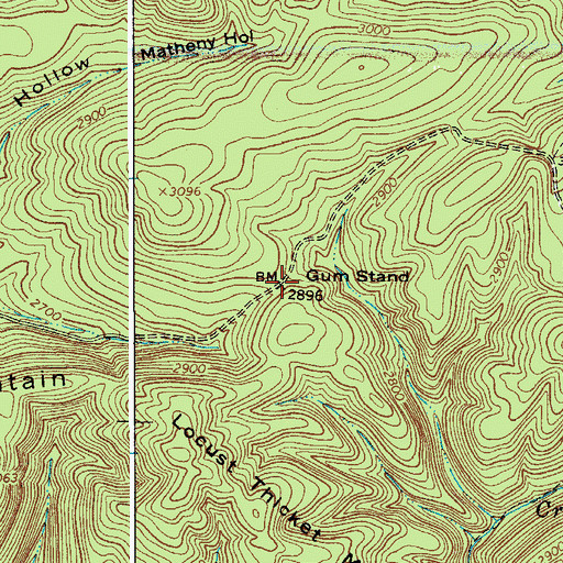 Topographic Map of Gum Stand, VA