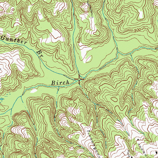 Topographic Map of Gunther Branch, VA