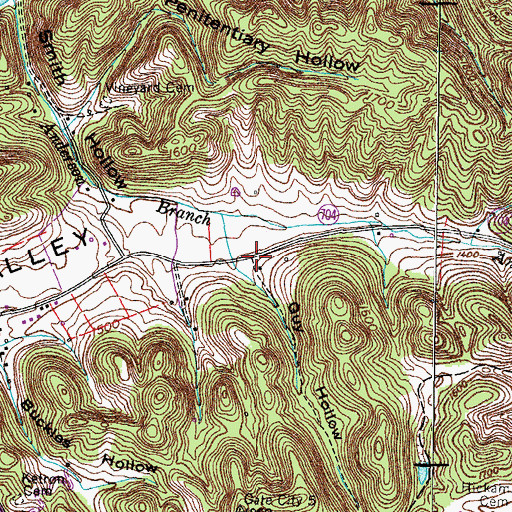 Topographic Map of Guy Hollow, VA