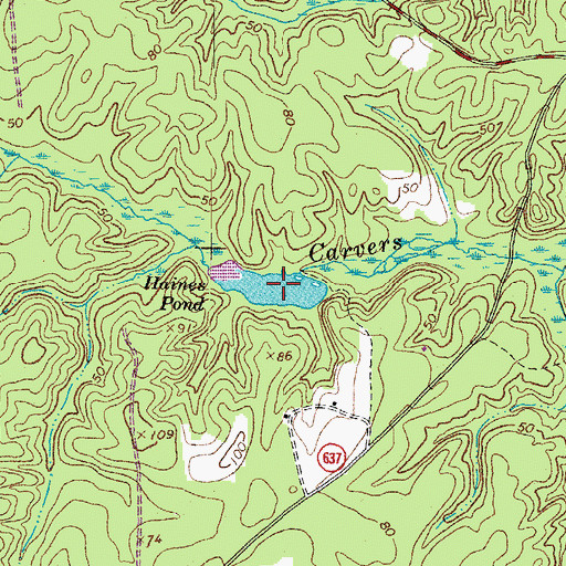 Topographic Map of Haines Pond, VA
