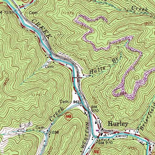 Topographic Map of Halls Branch, VA