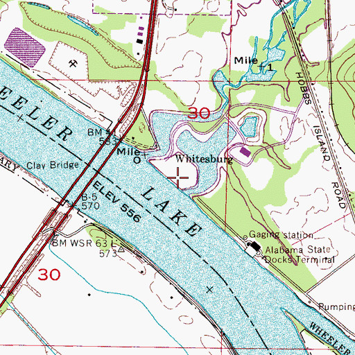 Topographic Map of Chickasaw Old Fields, AL