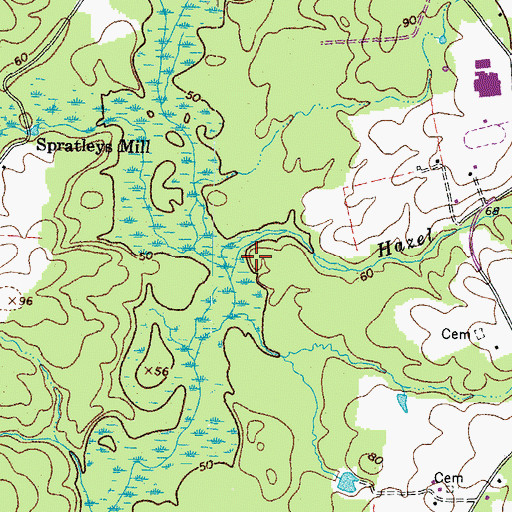 Topographic Map of Hazel Swamp, VA